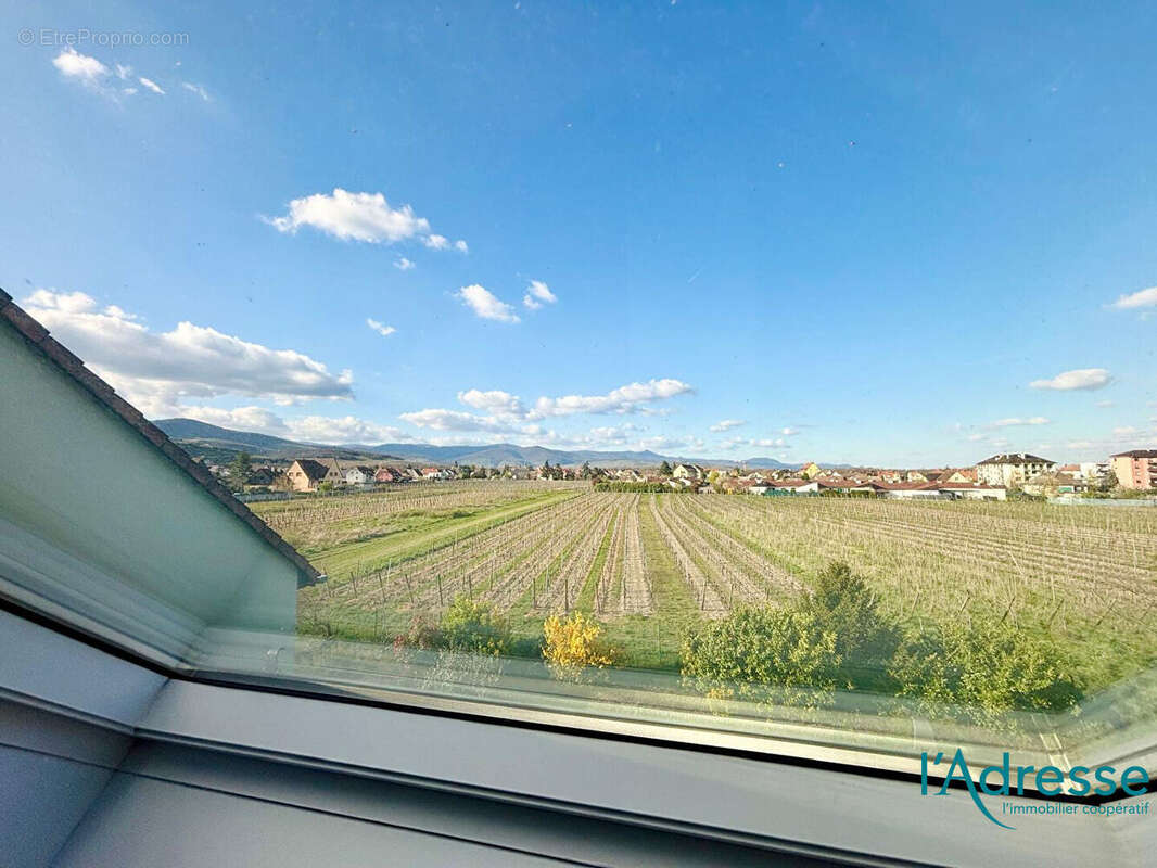 Appartement à INGERSHEIM