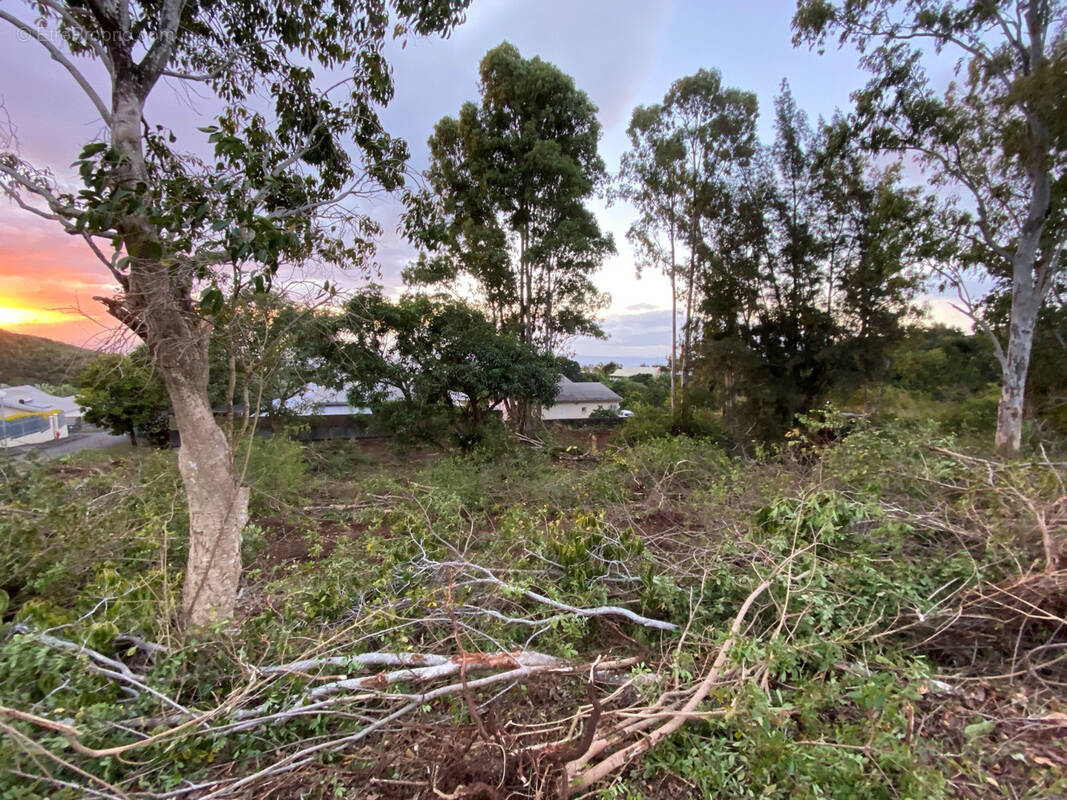 Terrain à SAINT-DENIS