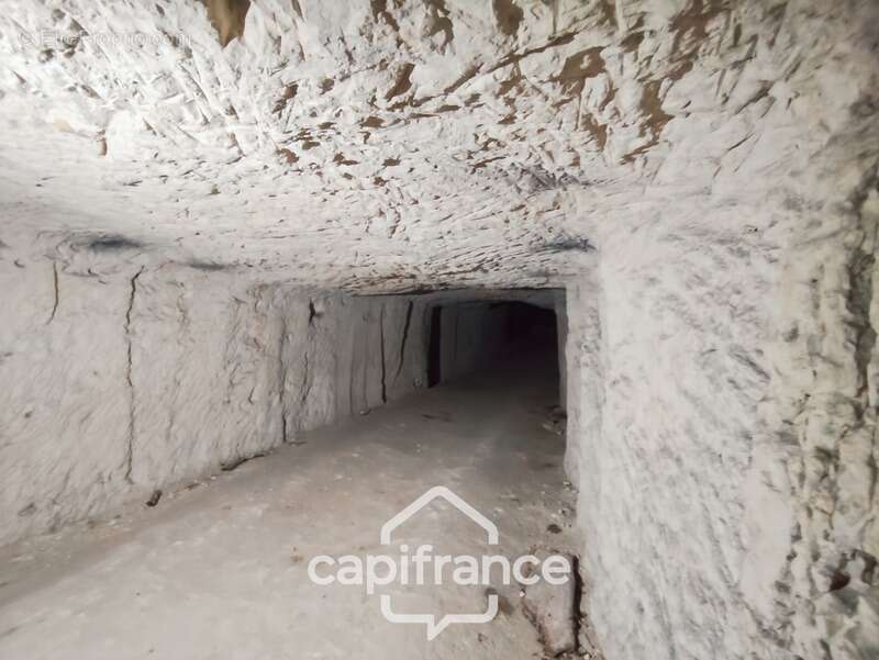 Maison à SAVIGNY-SUR-BRAYE