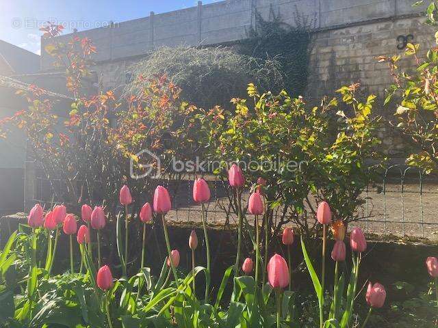 Maison à ROZOY-SUR-SERRE