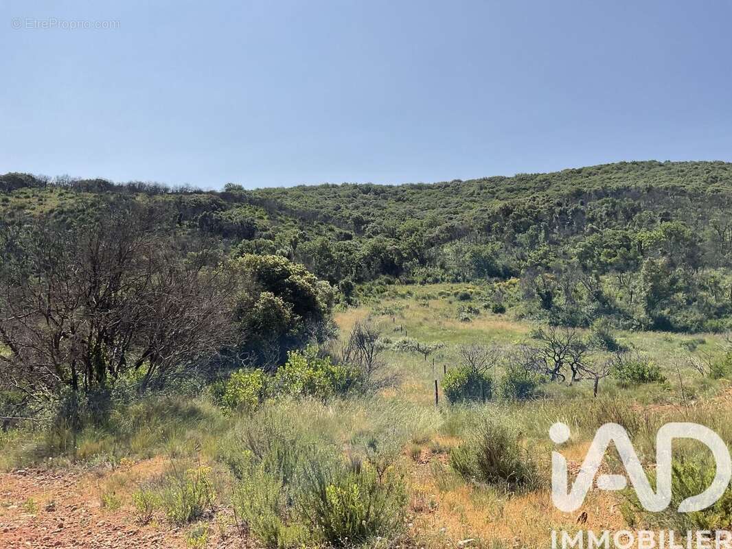 Terrain 321615 m² à Aumelas  - photo 5