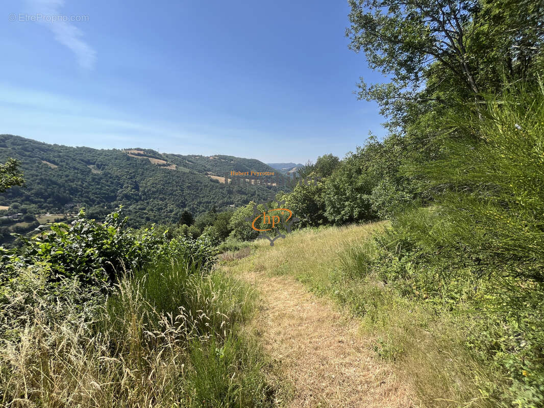 Vente Ayssènes, Vallée du Tarn, Propriété sur 2 hectares 9558 m2. - photo 27