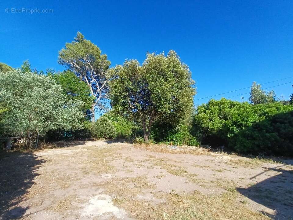 Terrain 428 m² à Pierrefeu-Du-Var  - photo 2