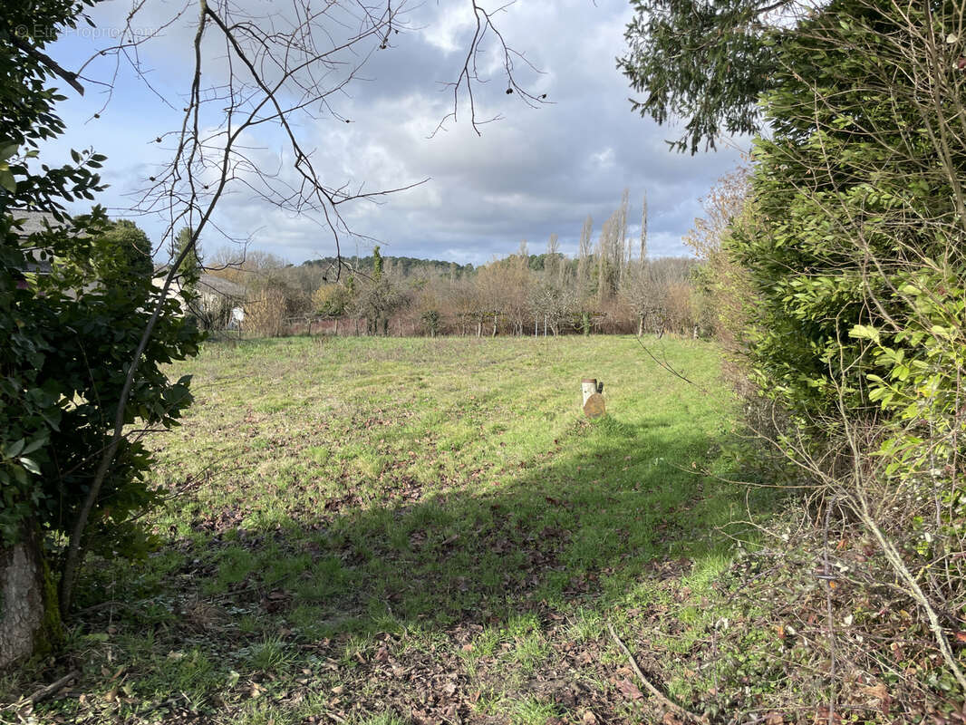 Terrain à SAINT-MICHEL-DE-MONTAIGNE