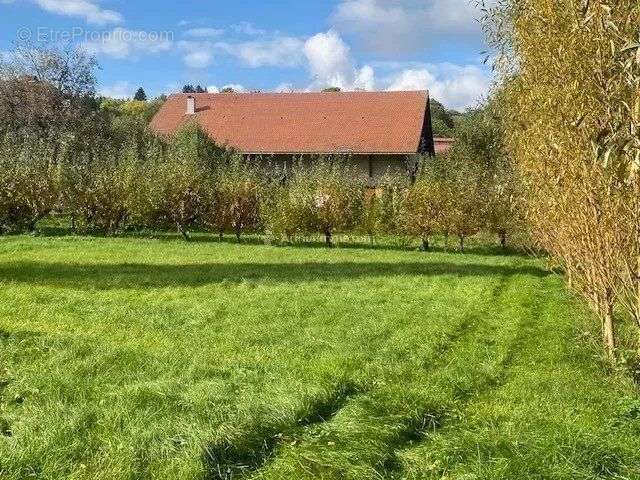 Terrain à REMORAY-BOUJEONS