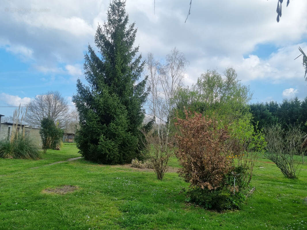 Maison à BAZAS