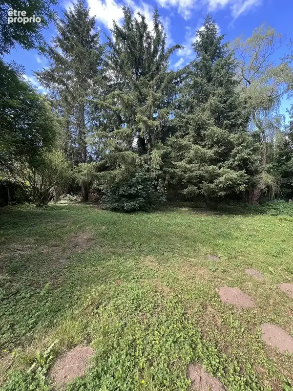 n°2