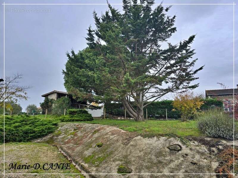 Maison à vendre 5 pièces Calignac avec locataires - photo 11
