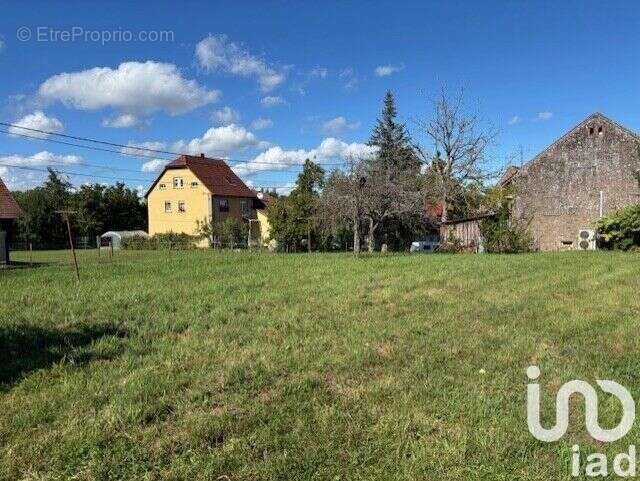 Photo 3 - Maison à LOHR