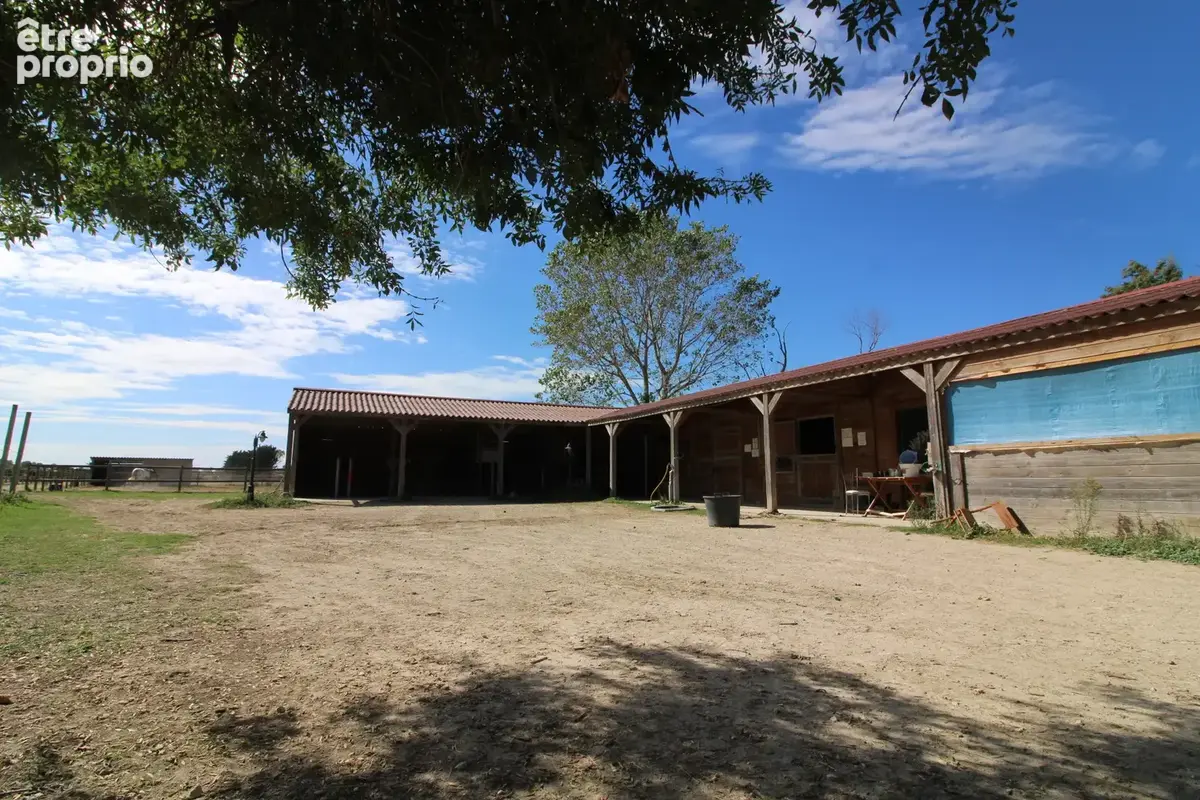 Herault Propriété d'exeption 800m2 sur 400000m2 - photo 138
