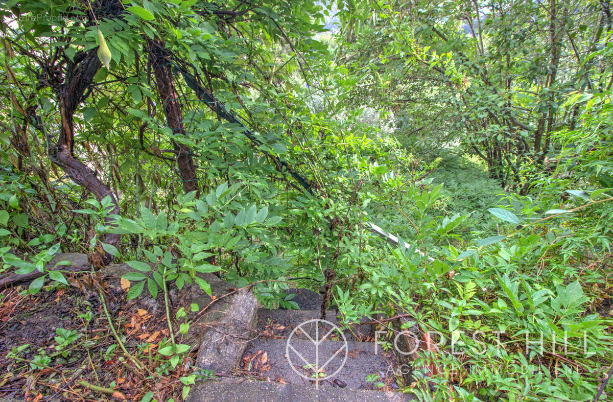 Maison à AMELIE-LES-BAINS-PALALDA