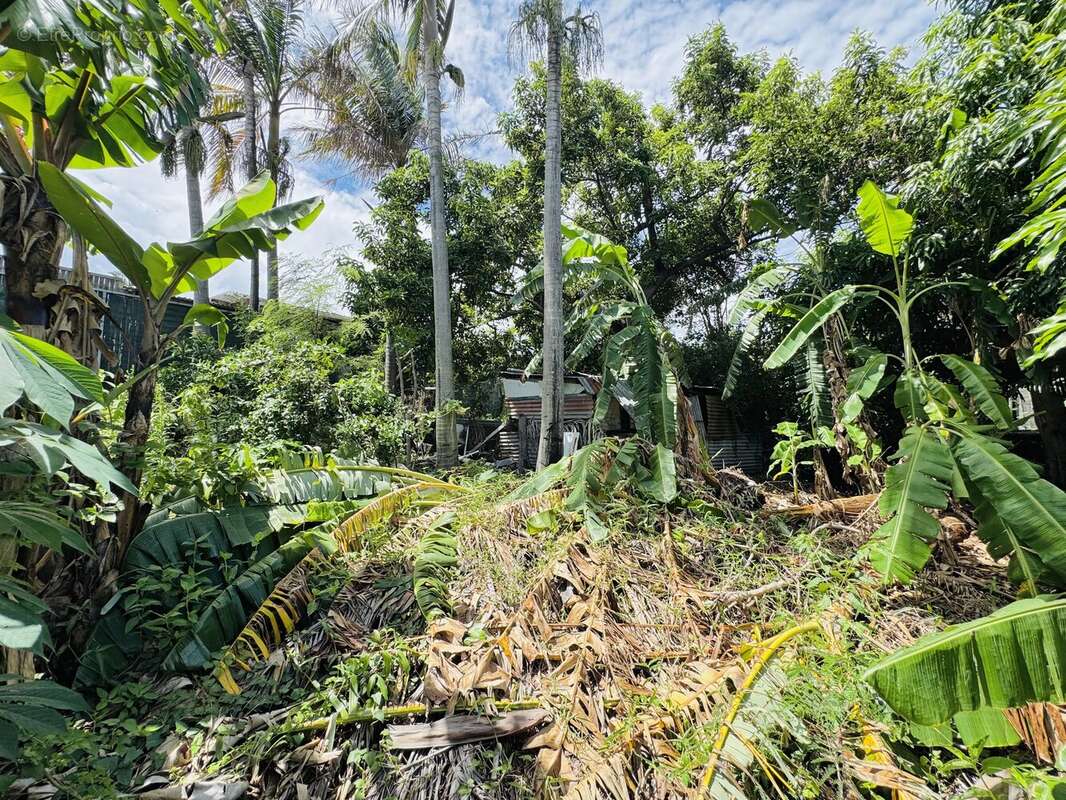 Maison à SAINT-JOSEPH