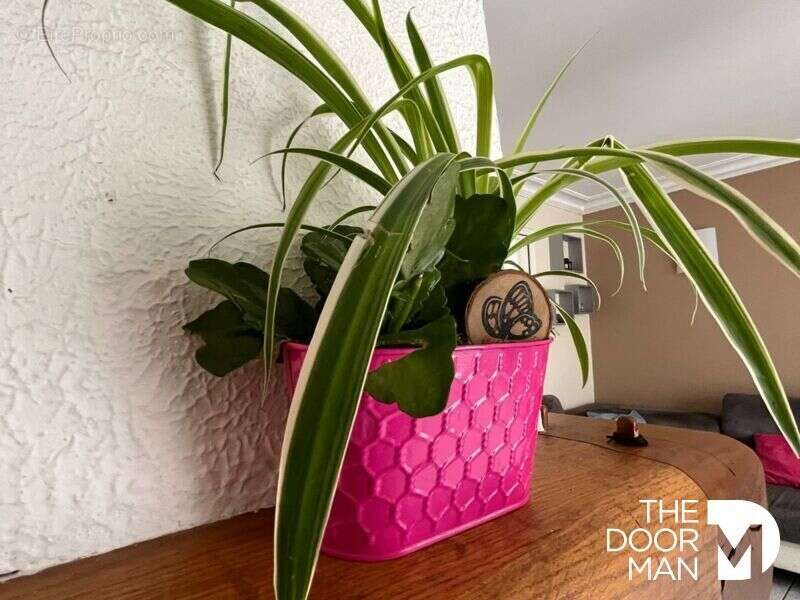 Maison à SAINT-SEBASTIEN-SUR-LOIRE