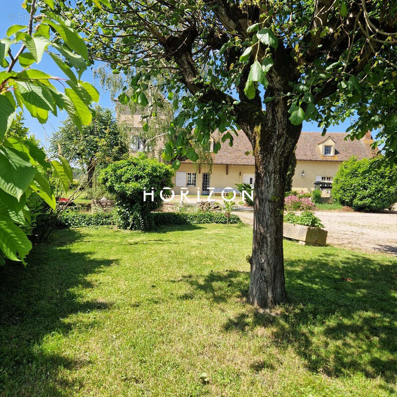 Maison à TOURNUS