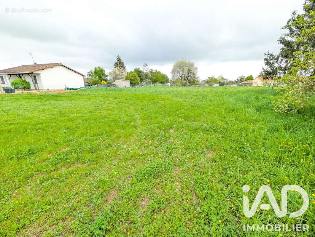 Terrain 4024 m² à Lussac-Les-Chateaux  - photo 8