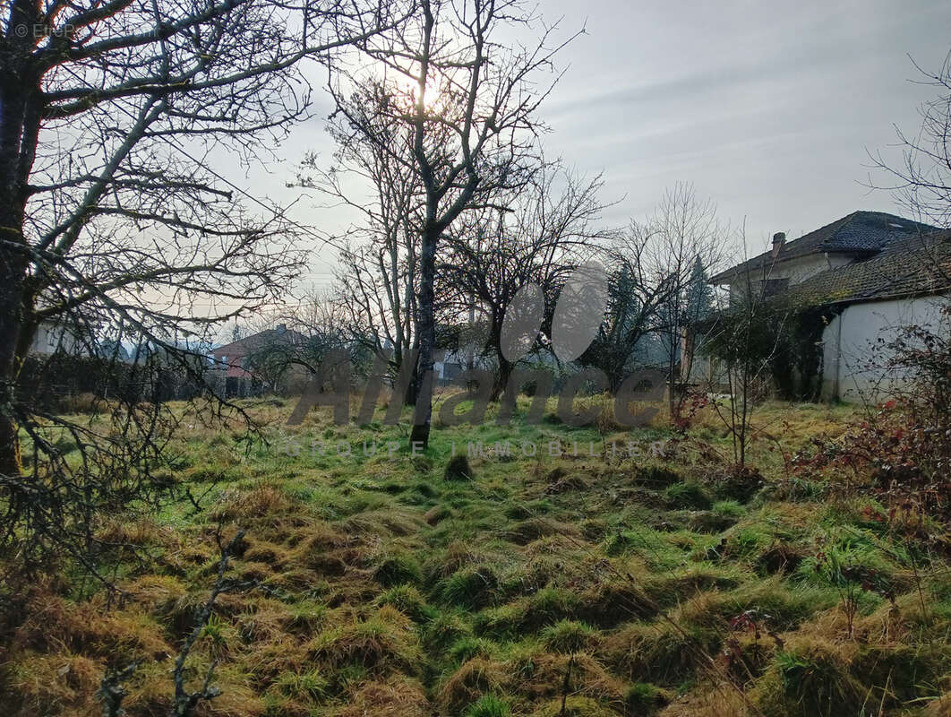 Maison à SAINT-LOUP-SUR-SEMOUSE