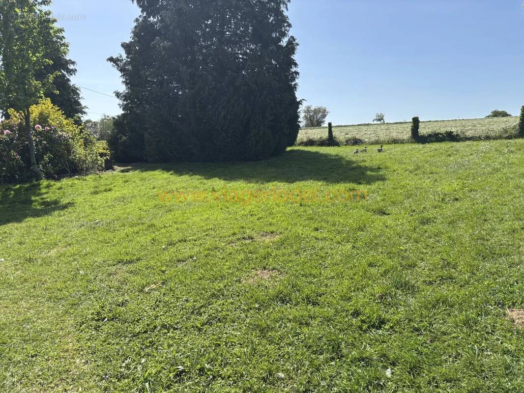 Appartement à SAINT-GEORGES-BUTTAVENT