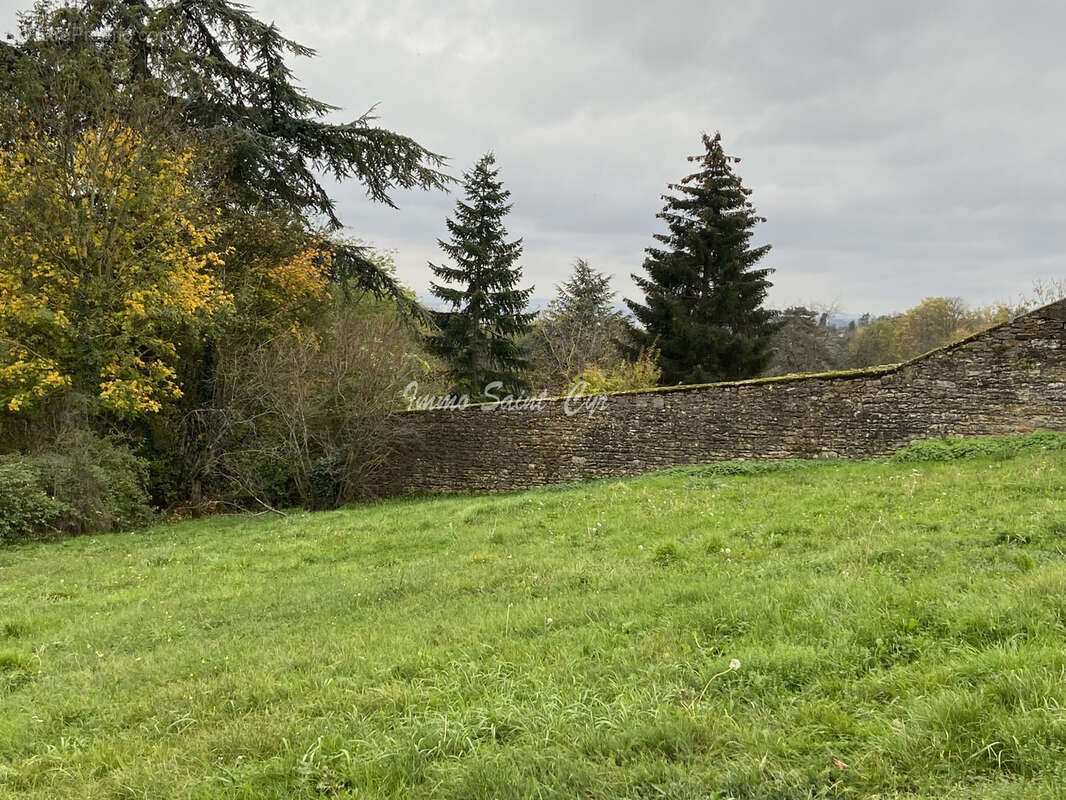 Terrain à SAINT-DIDIER-AU-MONT-D'OR