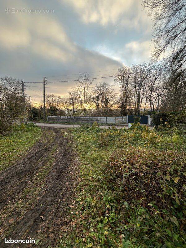 Terrain à CHAMPAGNE-SUR-SEINE