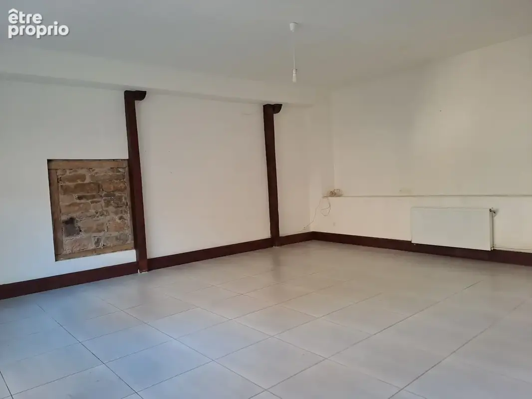 Appartement duplex de 158m2 à Fontaines Saint Martin ! - photo 4