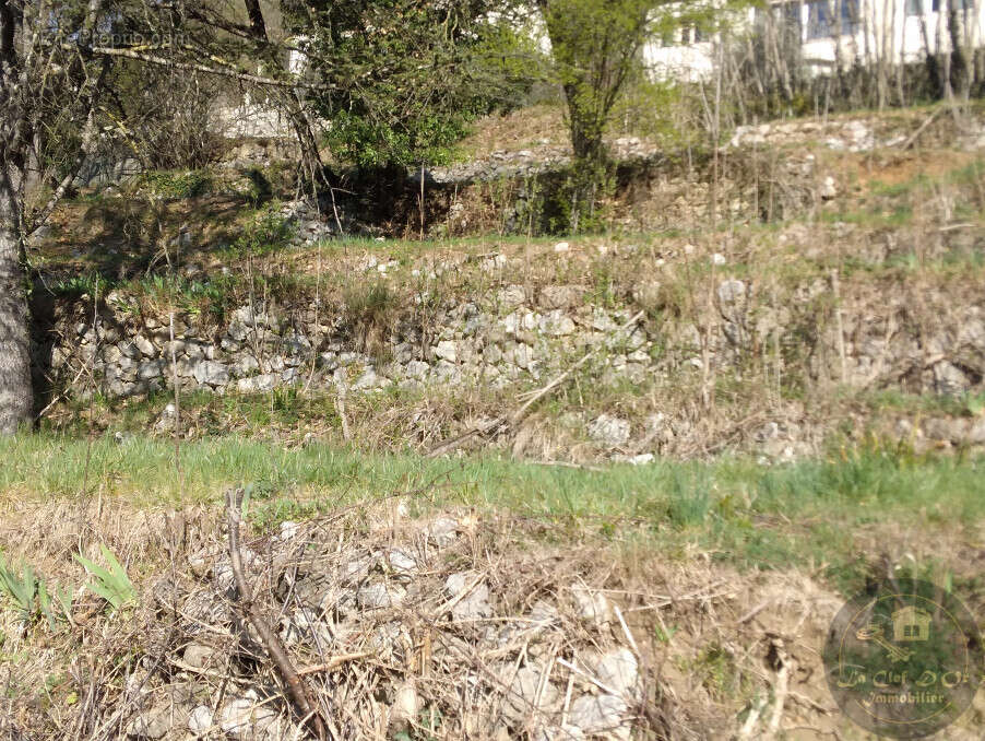 Terrain à ROQUESTERON