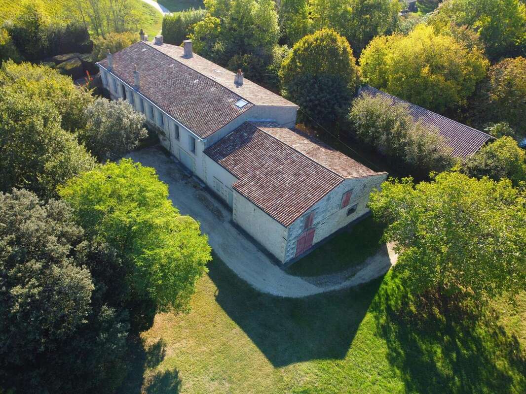 Photo 2 - Maison à MOULIS-EN-MEDOC