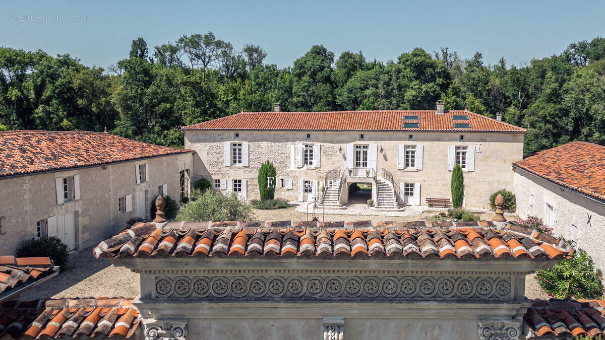 A vendre magnifique logis charentais proche de cognac - 410 m2 - 10 pièces - photo 2