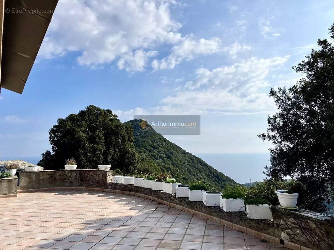 Maison à SAN-MARTINO-DI-LOTA