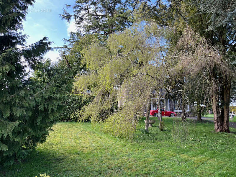 Maison à VASSY