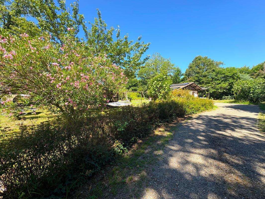 Maison à vendre 6 pièces 235m2 avec dépendance Proche MONT-DE-MARSAN (40) - photo 25