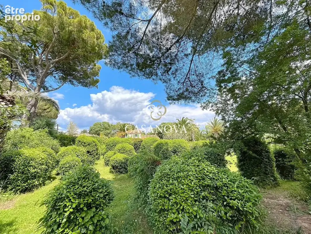 Aux portes de PEZENAS, maison de caractère sur un superbe terrain CONSTRUCTIBLE et DIVISIBLE de 3300 m². A 25 mn du bord de MER, - photo 13