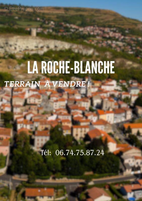 Terrain à LA ROCHE-BLANCHE