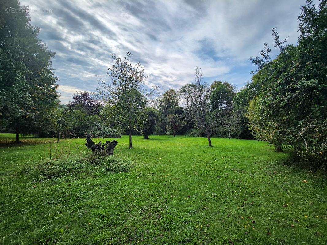 Terrain à CHEVREUSE