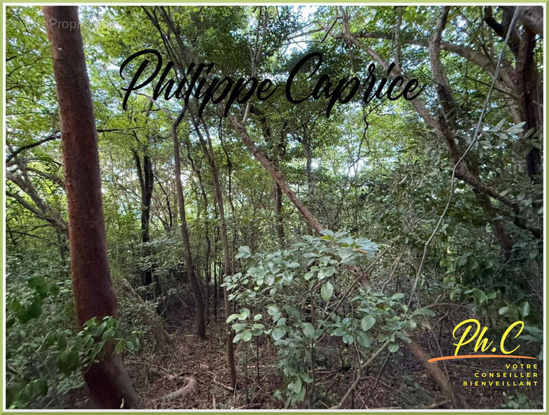 Terrain à LE FRANCOIS