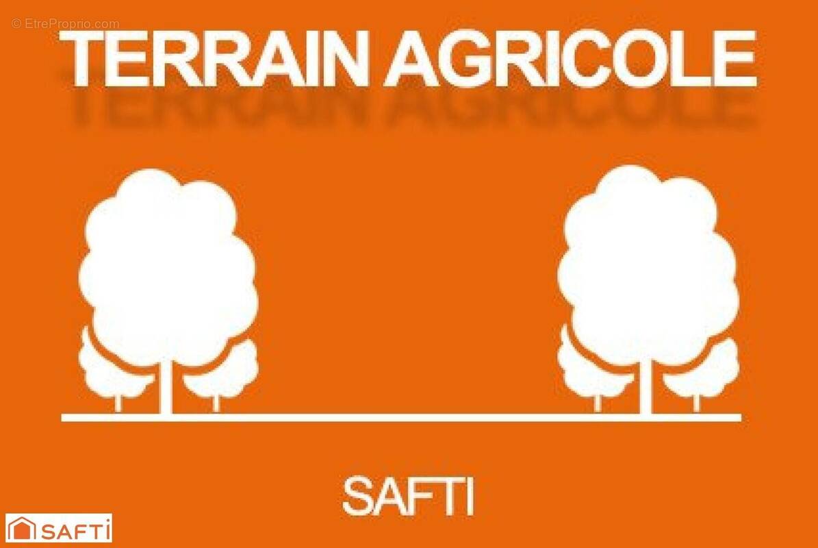 Photo 1 - Terrain à NANS-LES-PINS