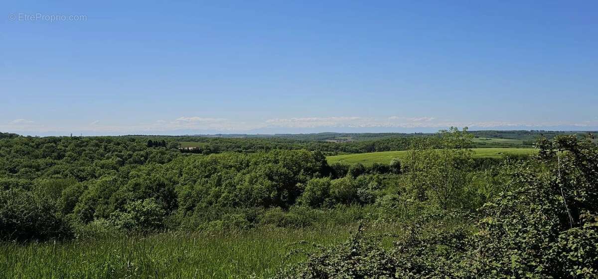 Terrain à ORDAN-LARROQUE