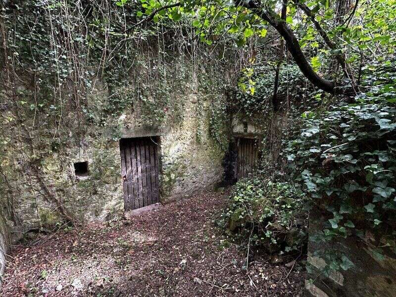 Photo 2 - Terrain à INGRANDES-DE-TOURAINE