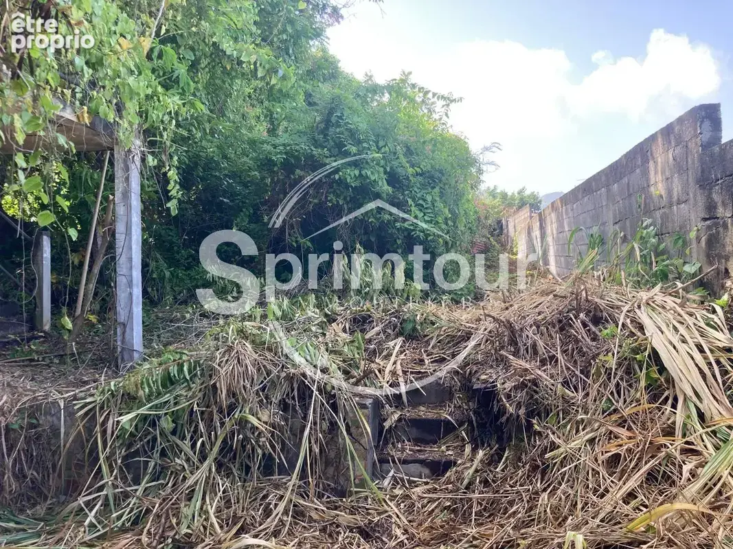 À vendre   Terrain constructible de 2999 m2 à Basse-Terre - photo 10