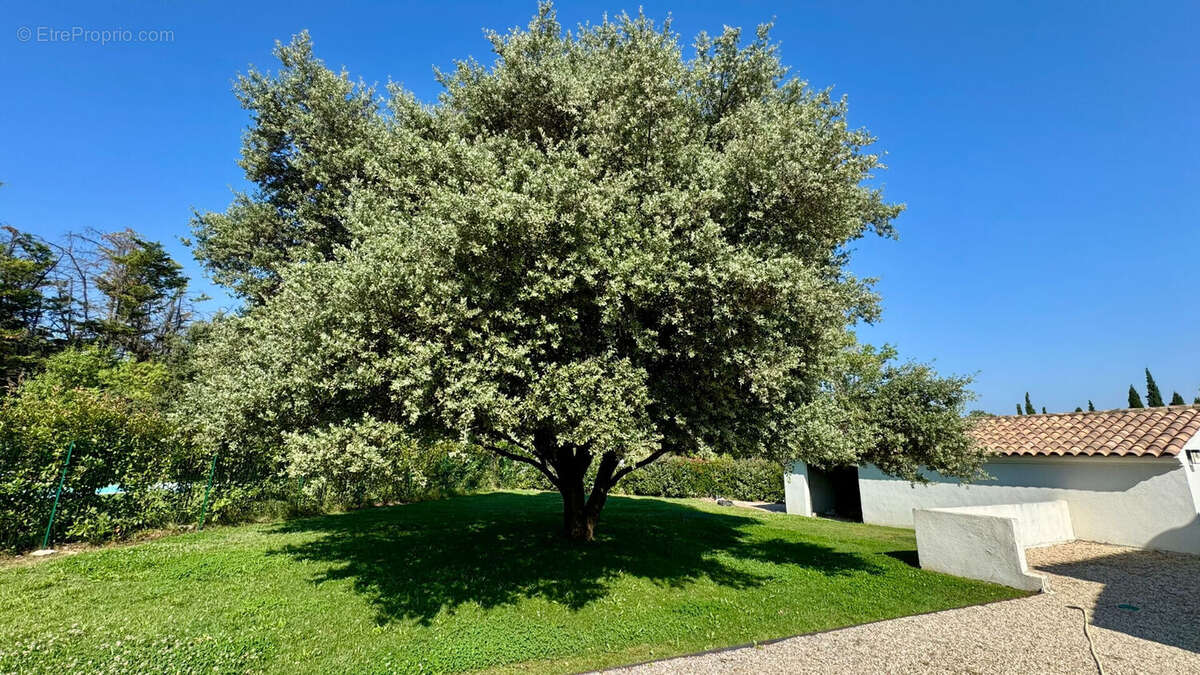 Maison piscine 220m² aix nord - photo 8