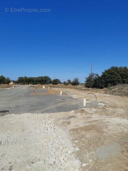 Terrain à SAINT-PERE-EN-RETZ