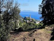 Terrain à SAN-MARTINO-DI-LOTA