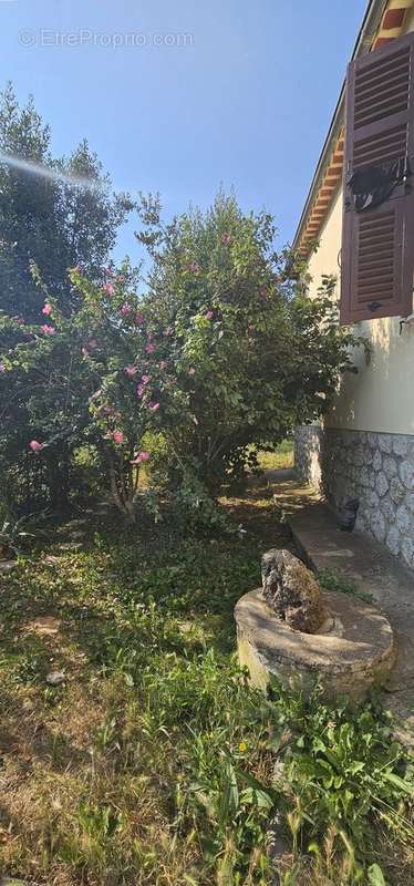 Maison à TOURRETTE-LEVENS