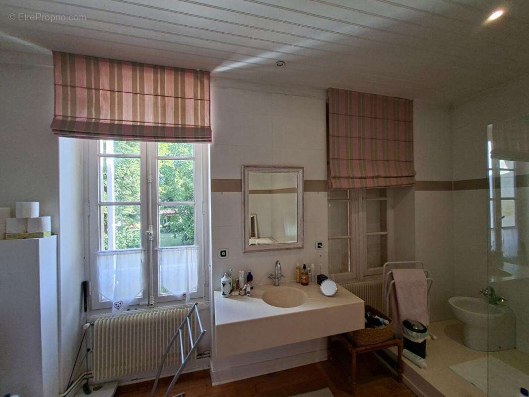Magnifique domaine avec sa  maison de maître de charme à la française coup de coeur - photo 17