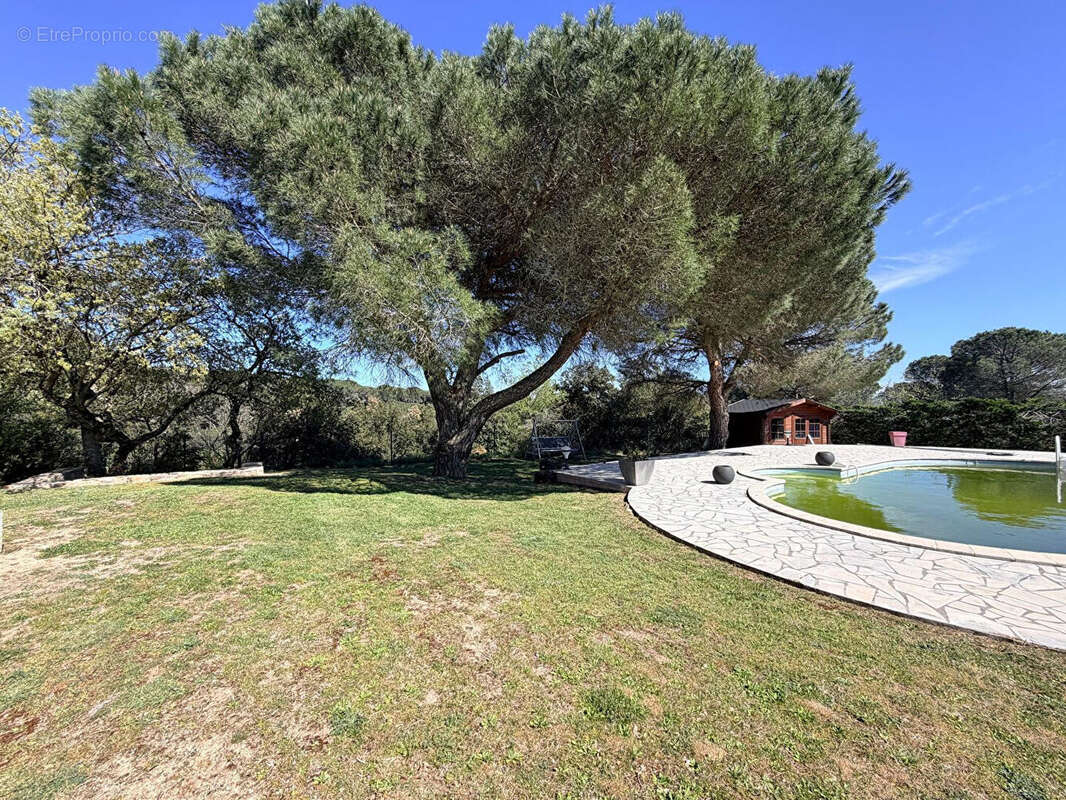 REF - ARAGON 2- Maison PP 128m² - 4 chambres - 2494m² de terrain - photo 2