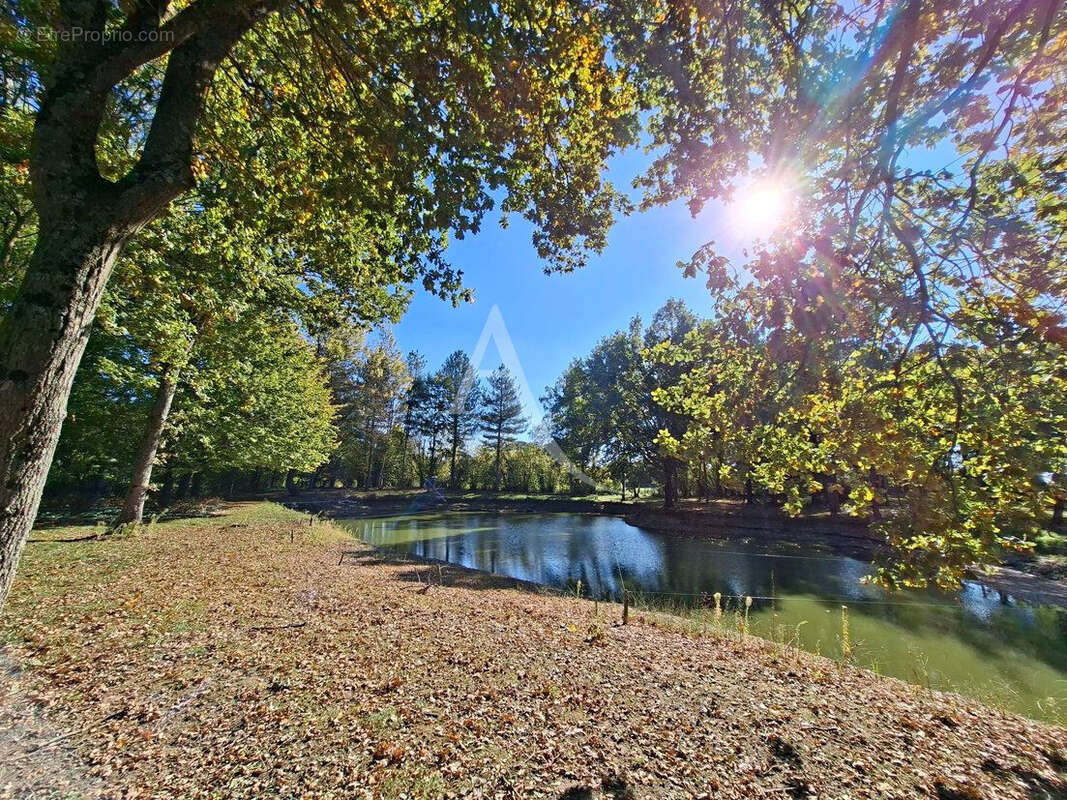 Terrain à VILLEVEQUE