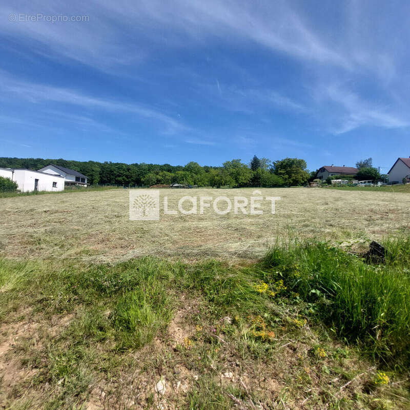 Terrain Montbouton 1008 m2 - photo 2