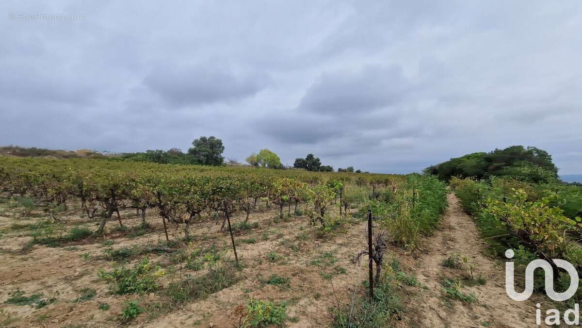 Photo 5 - Terrain à LEDENON