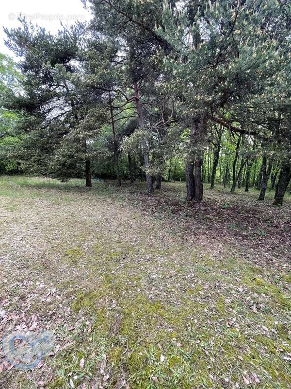 Maison à SAINT-CHRISTOL