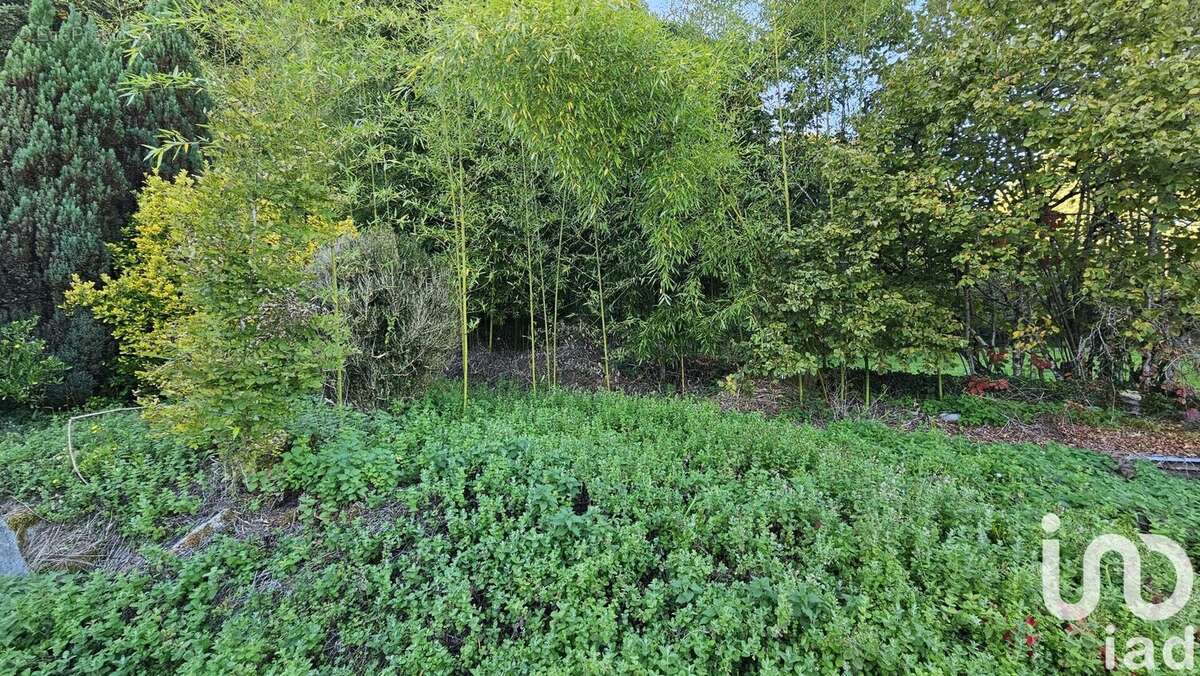 Photo 4 - Maison à MAURS