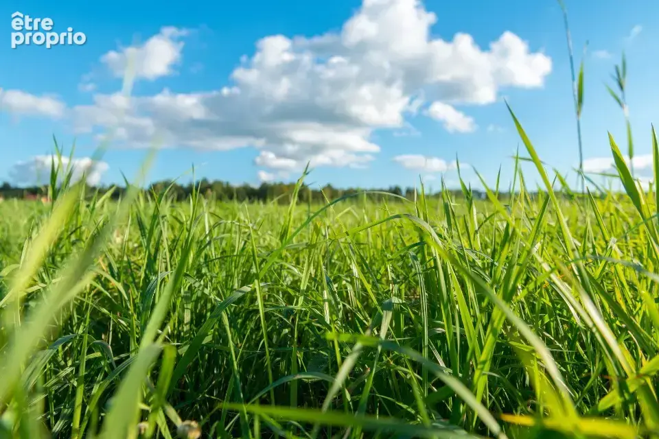 Photo Terrain à Lacanau au prix de 349 700€